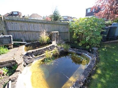 Picture 36